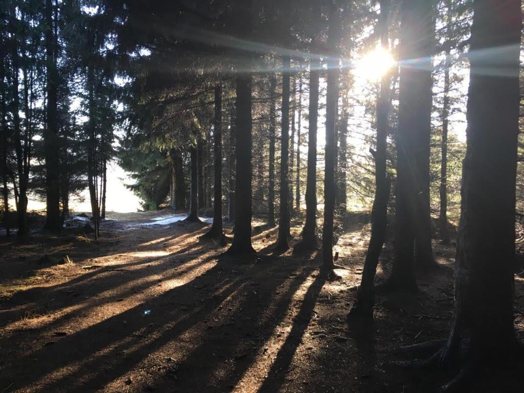 Apartmany Forest Kovarska ภายนอก รูปภาพ